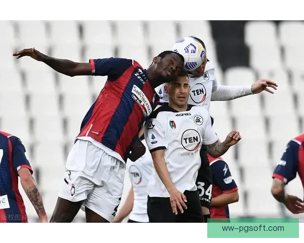 恩迪卡意甲比赛中突发心脏不适紧急停赛 球迷和医护人员全力应对