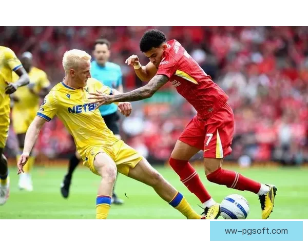 法比奥·卡瓦略冬窗回归利物浦后租借赫尔城半赛季斩获九球两助攻表现出彩